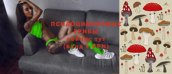 PSILOCYBIN Иннополис