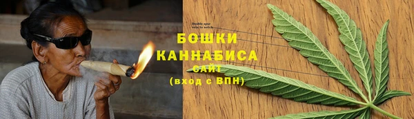 PSILOCYBIN Иннополис