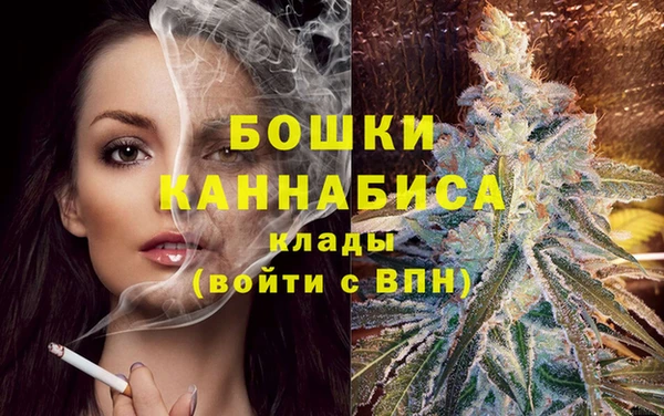 PSILOCYBIN Иннополис