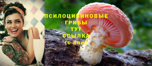 мдма Инта