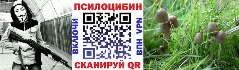 Галлюциногенные грибы GOLDEN TEACHER  darknet как зайти  Новый Уренгой 